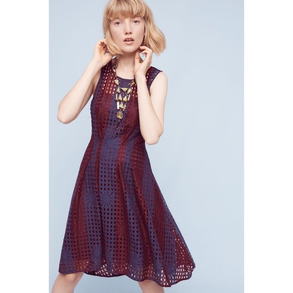 Eva Franco Dresses & Skirts - Eva Franco Anthropologie Fit and Flare Sleeveless Summer Mesh Samantha Dress